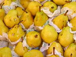 گلابی